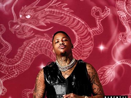 YG - STAY DANGEROUS Supply