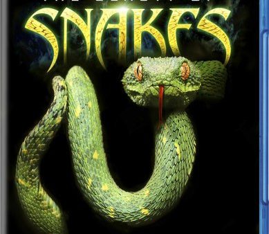 BEAUTY OF SNAKES  - BLU-ANIMAL PLANET Online Hot Sale