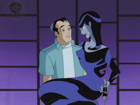 Batman Beyond Original Production Cel on Original Background: Inque and Aaron Herbst For Cheap