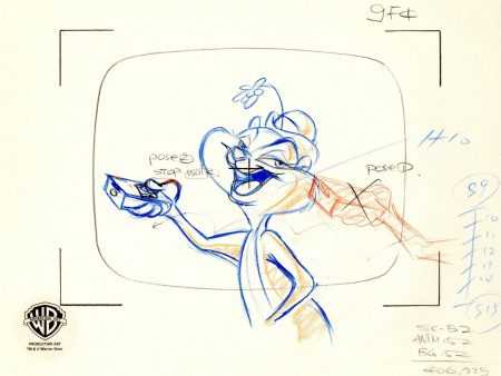 Animaniacs Original Production Drawing: Slappy For Discount