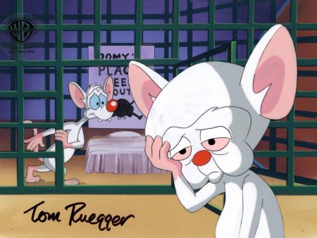 Pinky And The Brain Original Production Cel on Original Background Signed by Tom Ruegger: Pinky and Brain Hot on Sale