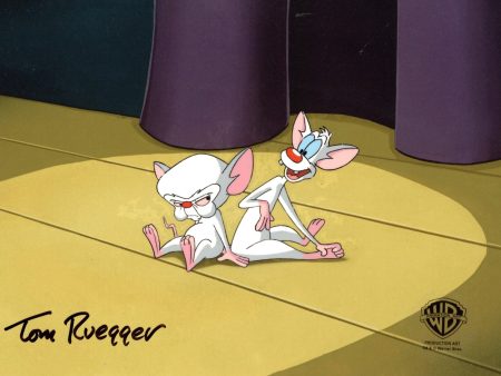 Pinky And The Brain Original Production Cel Signed by Tom Ruegger: Pinky and Brain Online Hot Sale