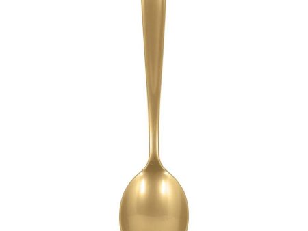 Gold Packaged Plastic Serving Spoons 2pcs Discount