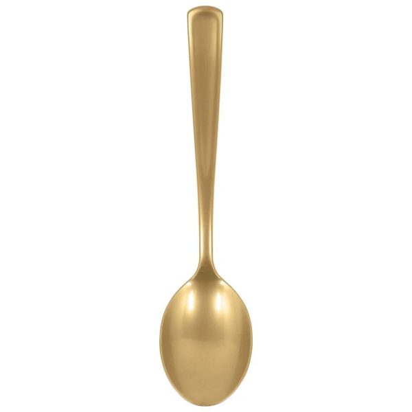 Gold Packaged Plastic Serving Spoons 2pcs Discount